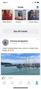 social network script